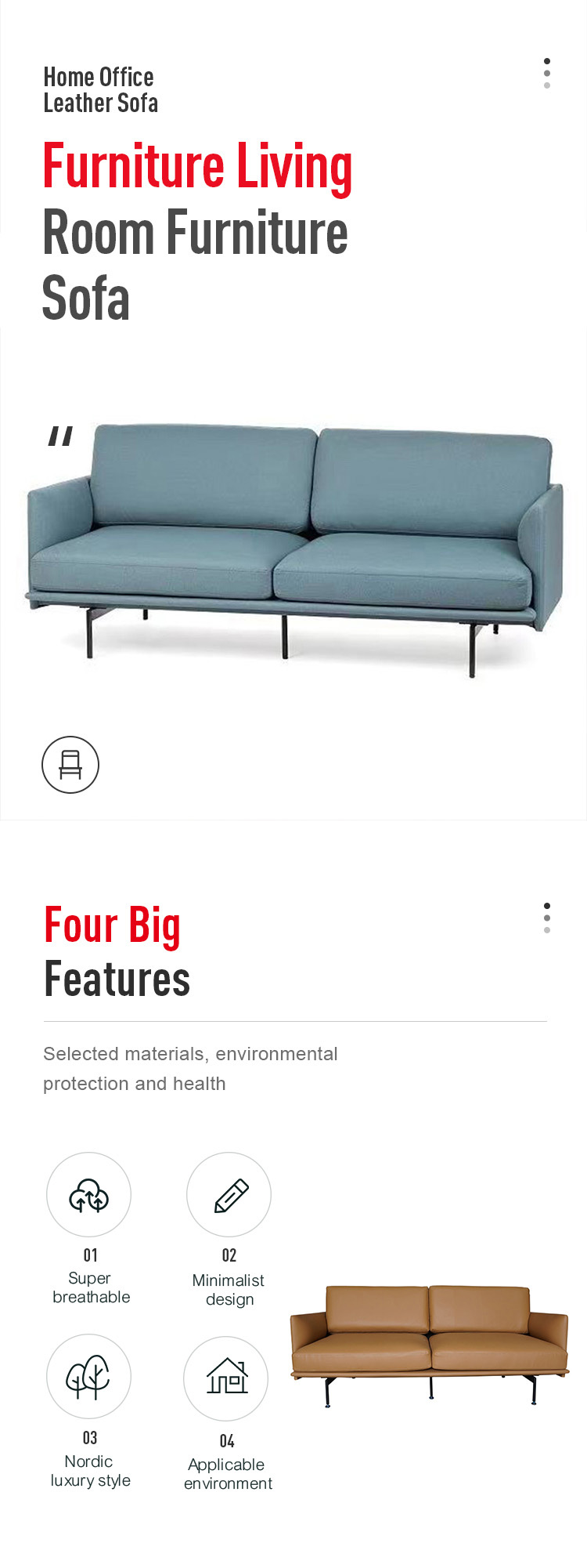 Living Room Sofa